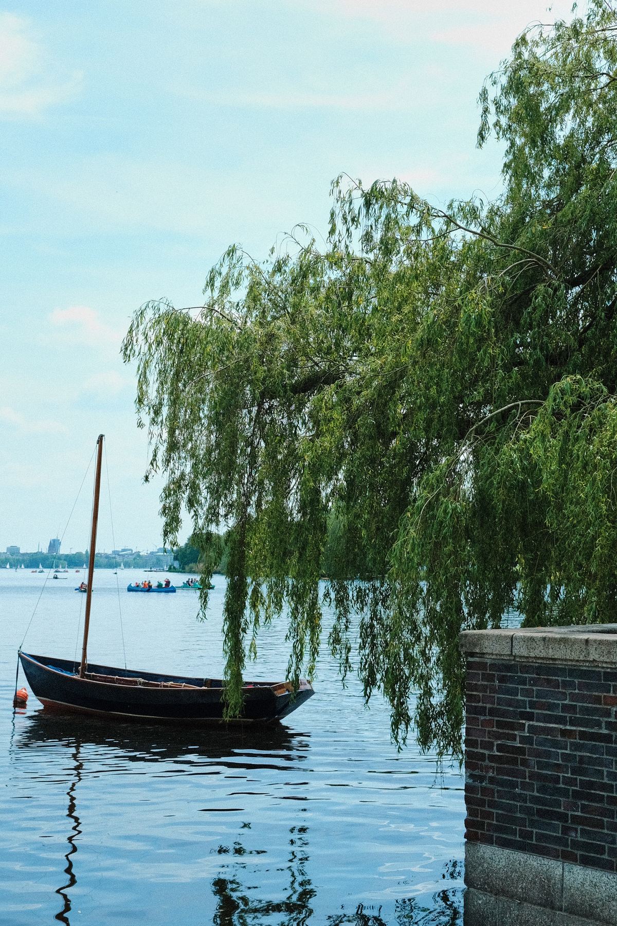 Wooden boat under a willow on the Alster