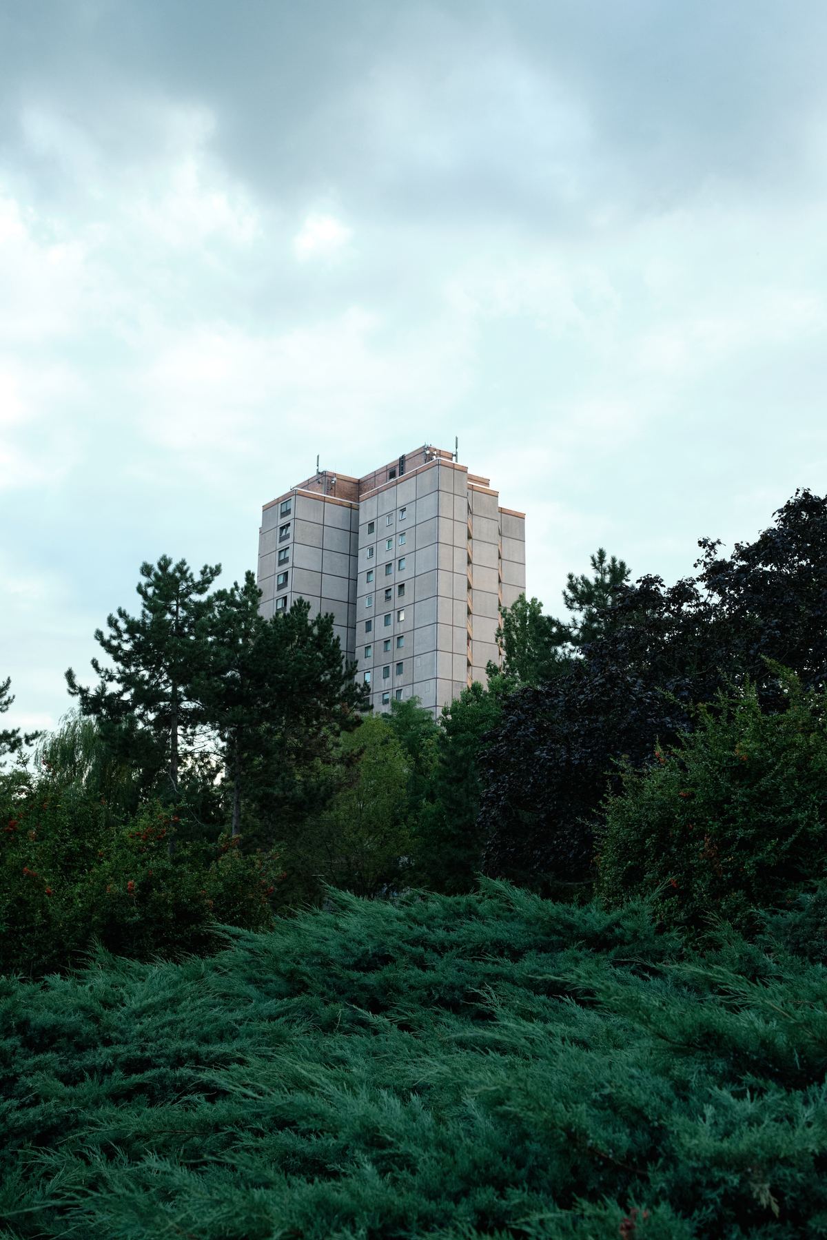 Tower block rising behind trees in Ernst-Thälmann-Park